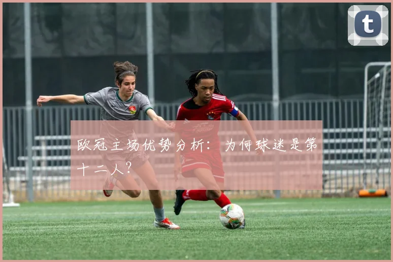 欧冠主场优势分析：为何球迷是第十二人？